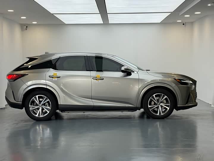 Фото 9 - Lexus RX