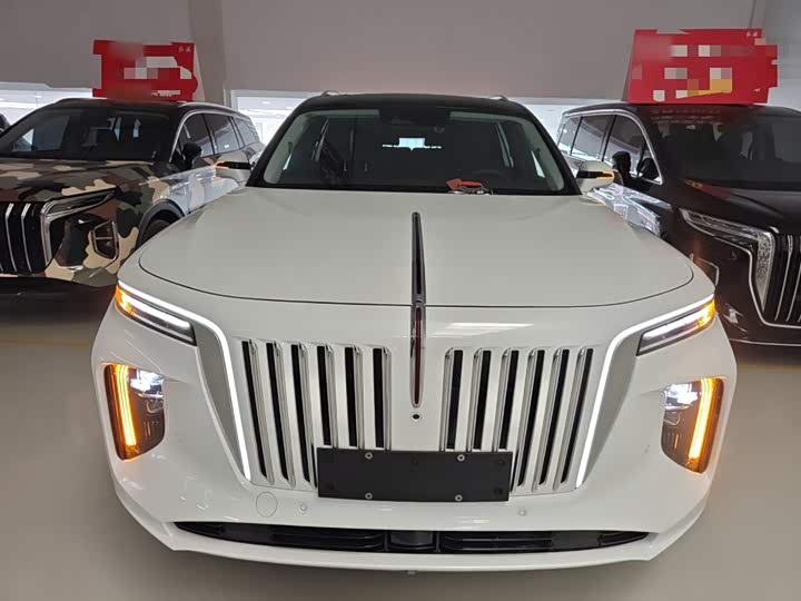 Фото 3 - Hongqi E-HS9