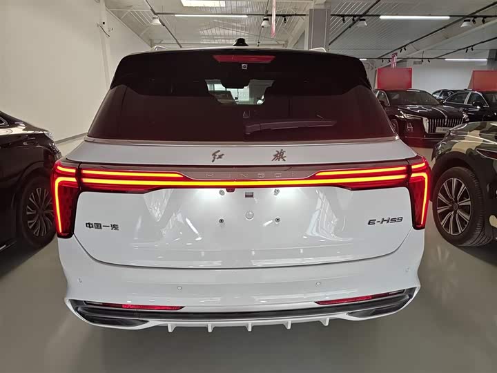 Фото 6 - Hongqi E-HS9