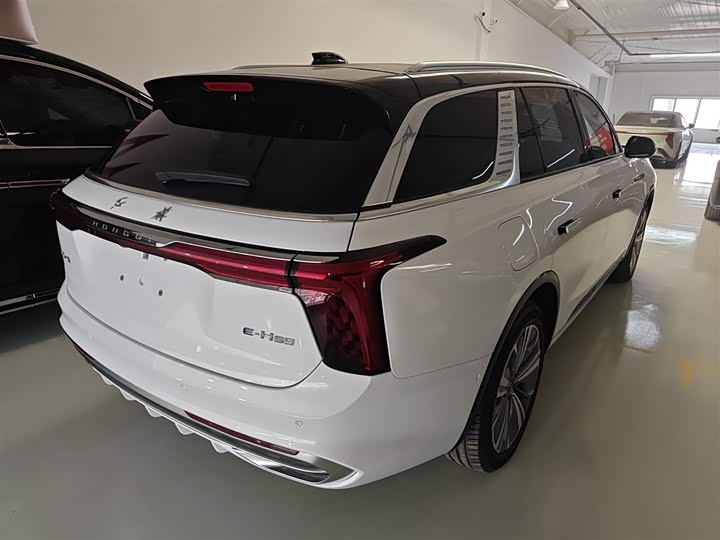 Фото 7 - Hongqi E-HS9