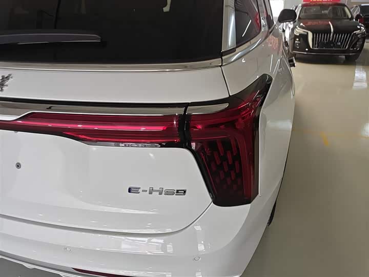 Фото 8 - Hongqi E-HS9
