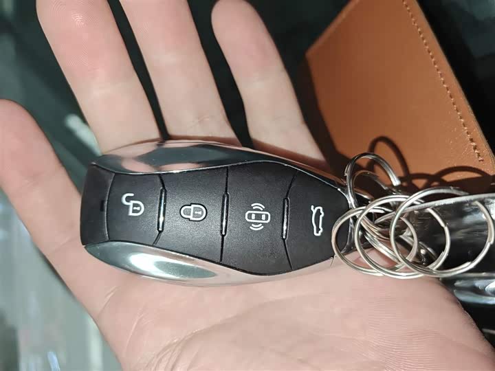 Фото 9 - Hongqi E-HS9