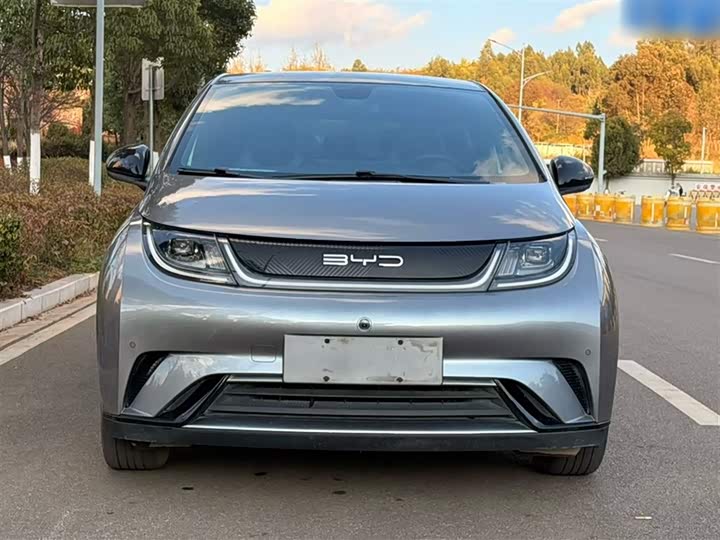 Фото 6 - BYD Dolphin