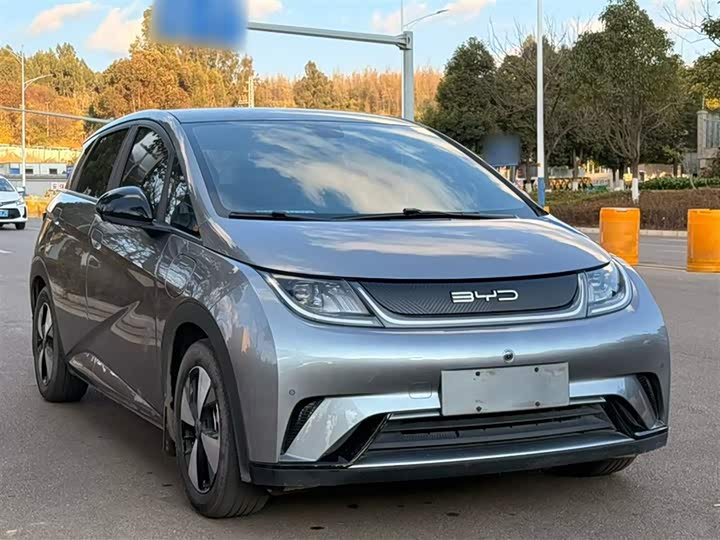 Фото 7 - BYD Dolphin
