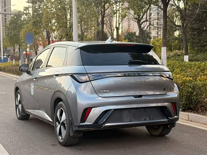 Фото 8 - BYD Dolphin