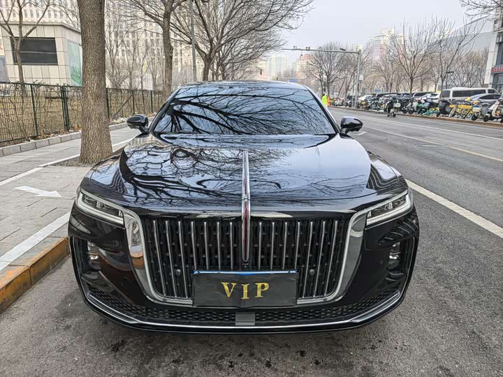 Фото 2 - Hongqi H9