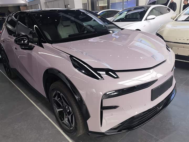 Фото 4 - Zeekr X