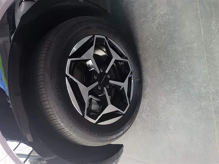 Фото 5 - Zeekr X