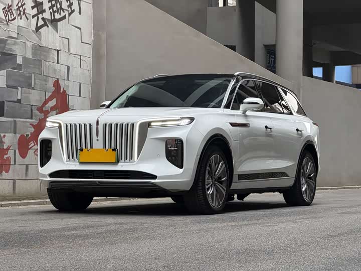 Фото 1 - Hongqi E-HS9