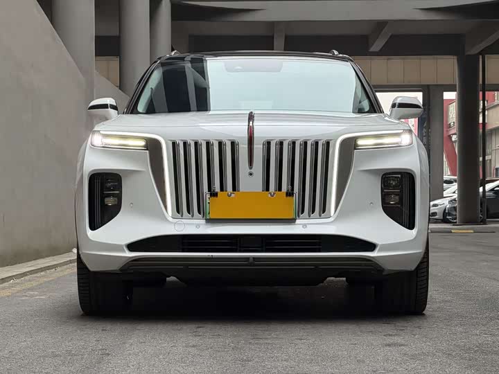 Фото 2 - Hongqi E-HS9