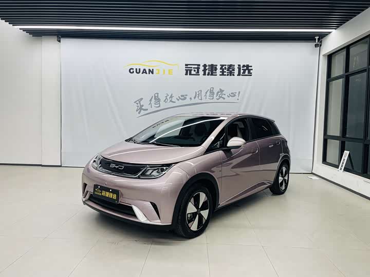 Фото 1 - BYD Dolphin