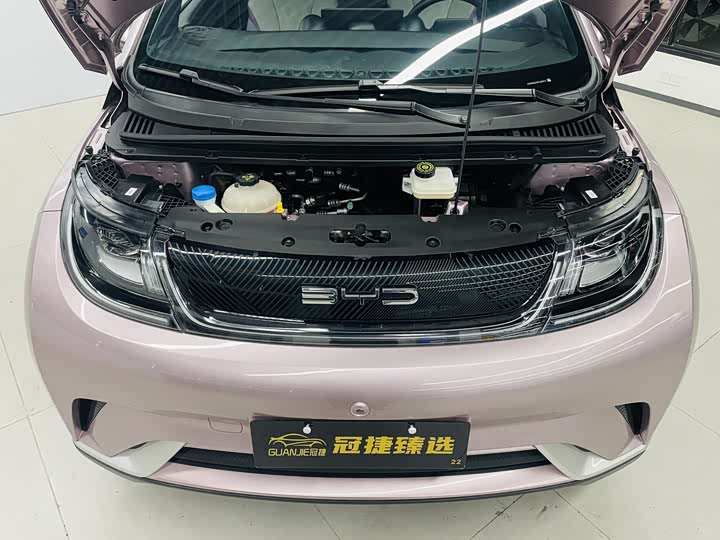 Фото 2 - BYD Dolphin