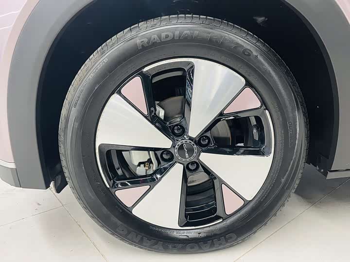 Фото 3 - BYD Dolphin