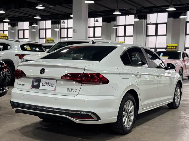 Фото 7 - Volkswagen Bora