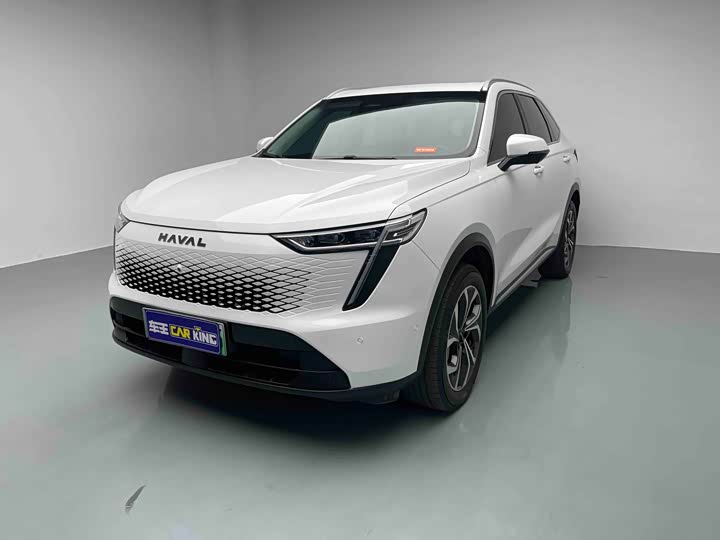 Фото 1 - Haval Ruge Max
