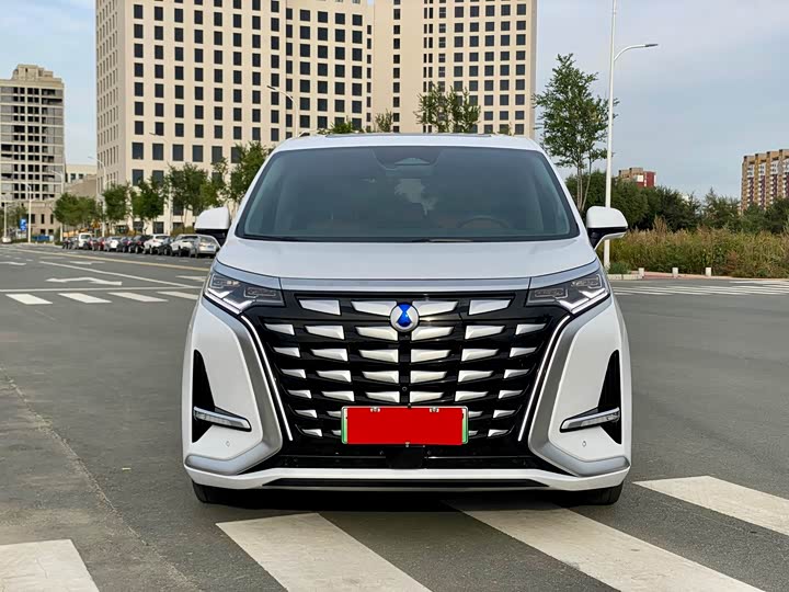 Фото 2 - Denza D9