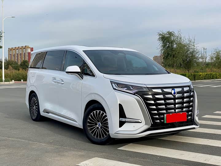 Фото 3 - Denza D9