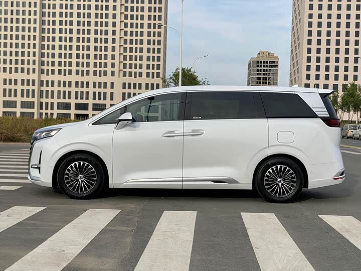 Фото 4 - Denza D9