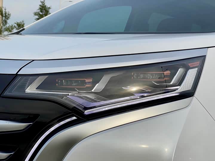 Фото 7 - Denza D9