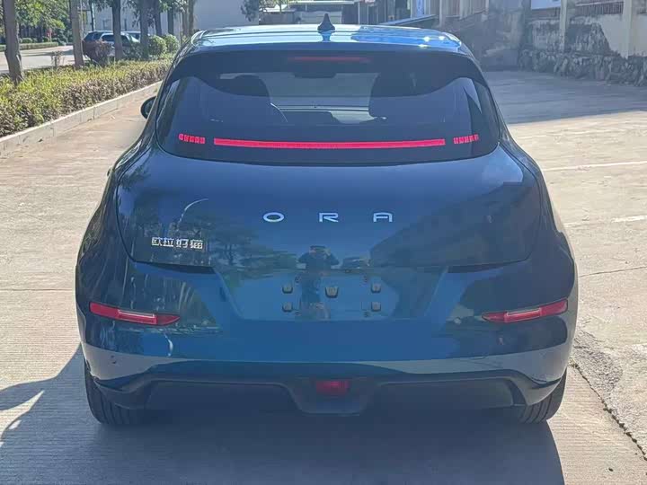 Фото 8 - Ora Good Cat (03)