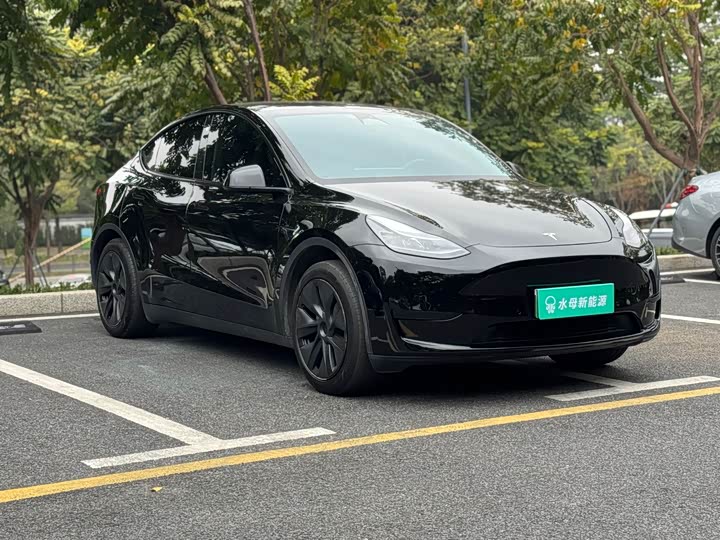 Фото 3 - Tesla Model Y