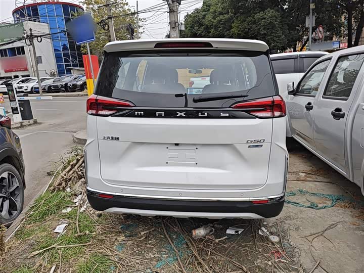 Фото 6 - Maxus G50