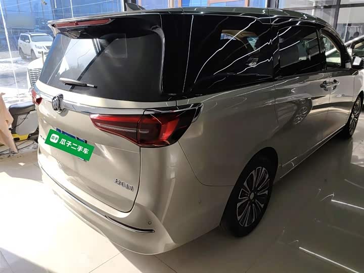 Фото 7 - Buick GL8 ES