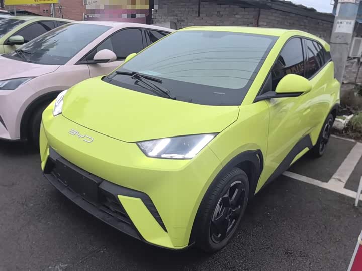 Фото 2 - BYD Seagull