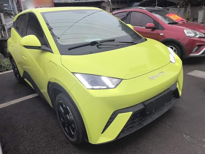 Фото 4 - BYD Seagull