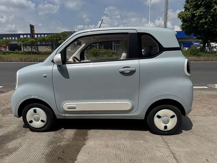 Фото 6 - Bestune Pony