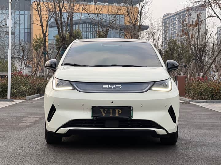 Фото 2 - BYD Dolphin