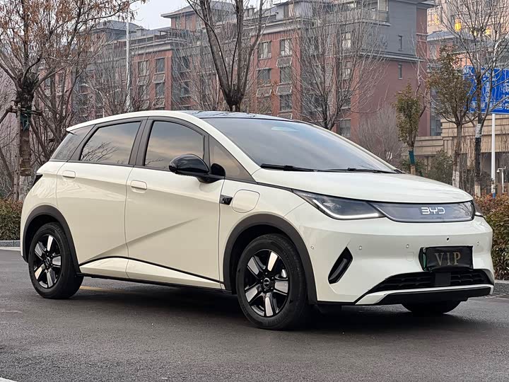 Фото 3 - BYD Dolphin