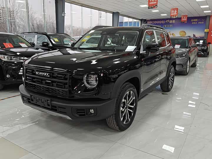 Фото 1 - Haval Dargo