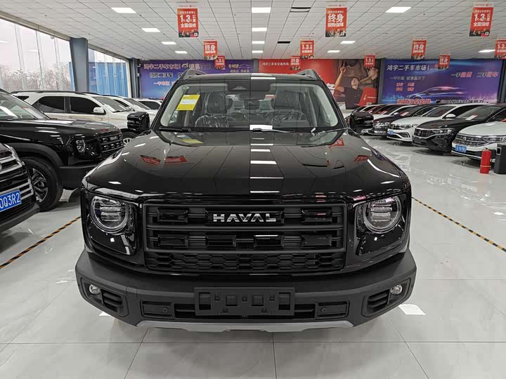 Фото 2 - Haval Dargo