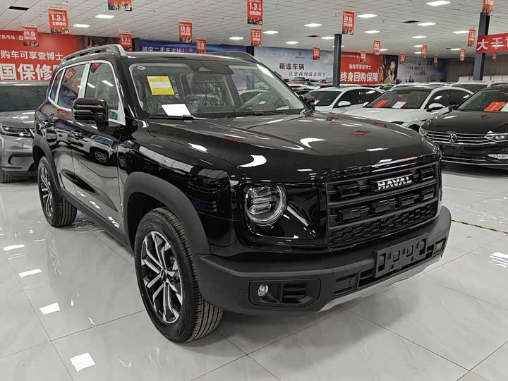 Фото 3 - Haval Dargo