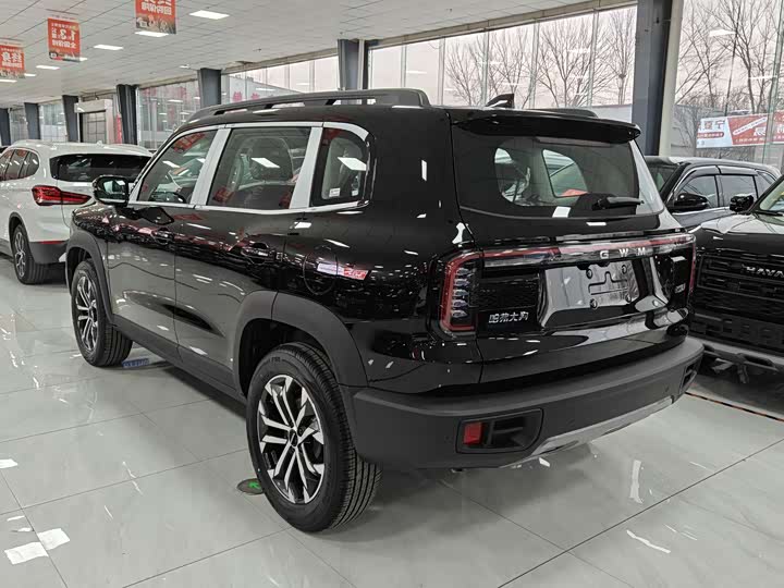 Фото 7 - Haval Dargo