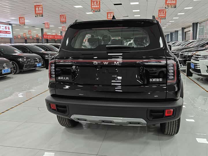 Фото 8 - Haval Dargo