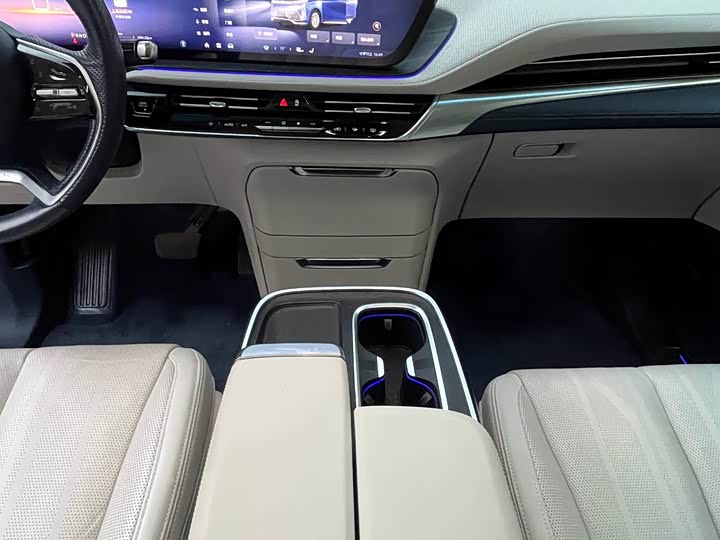 Фото 7 - Buick GL8 Century