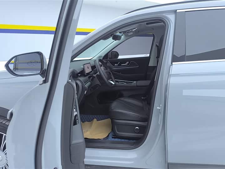 Фото 9 - Chery Fulwin T9