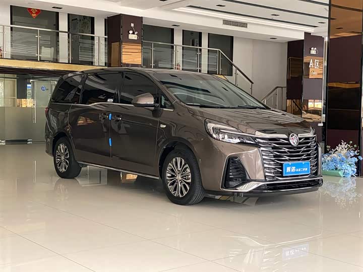 Фото 3 - Buick GL8 ES