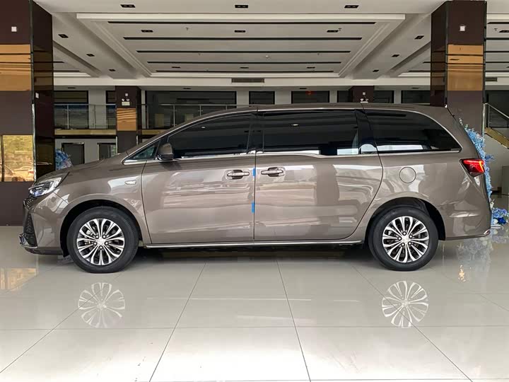 Фото 4 - Buick GL8 ES