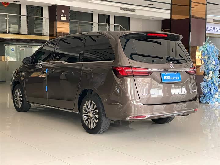 Фото 5 - Buick GL8 ES