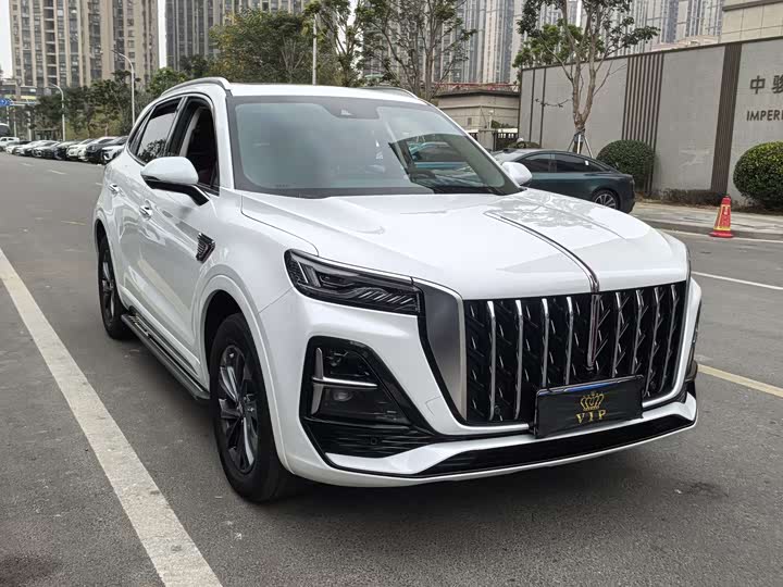 Фото 3 - Hongqi HS5