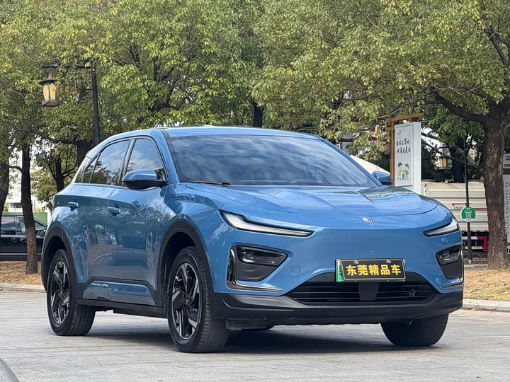 Фото 1 - Hozon X