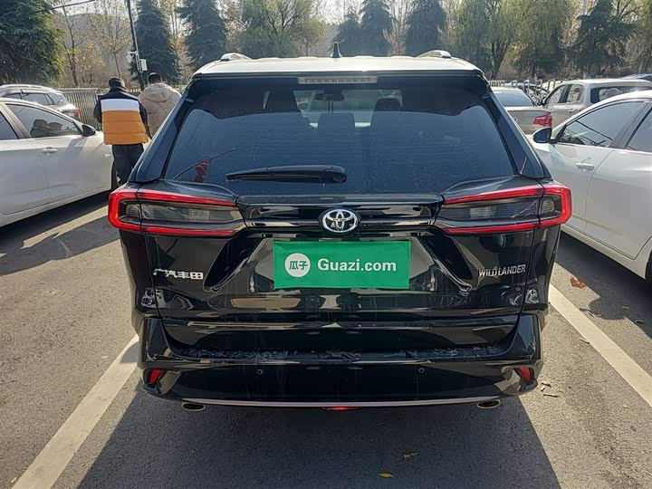 Фото 6 - Toyota Wildlander