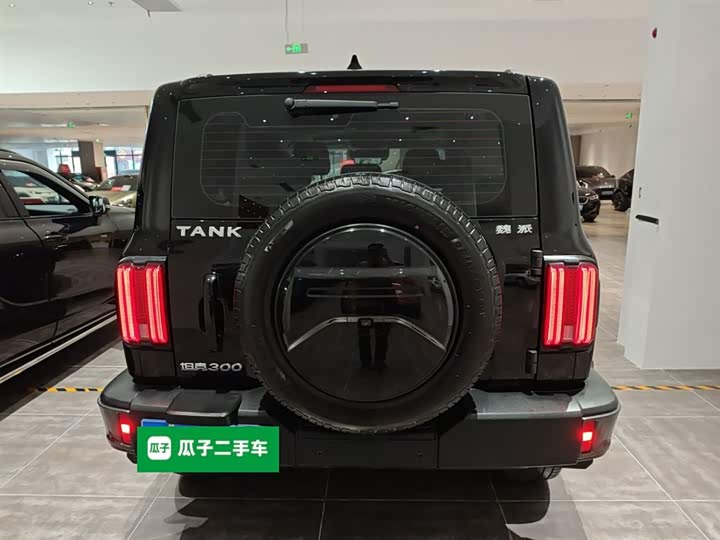 Фото 6 - Tank 300