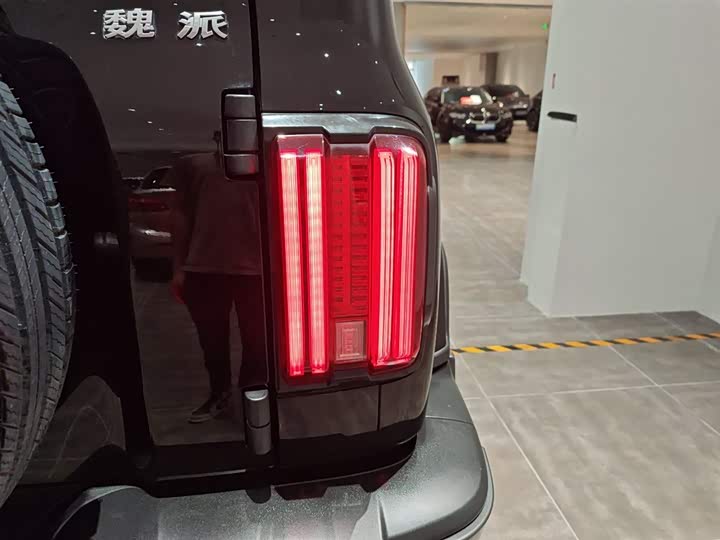 Фото 8 - Tank 300