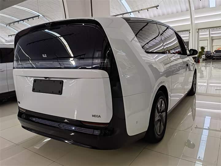 Фото 3 - LiXiang Mega