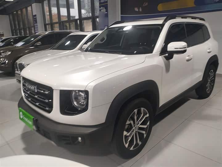 Фото 2 - Haval Dargo