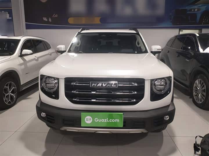 Фото 3 - Haval Dargo